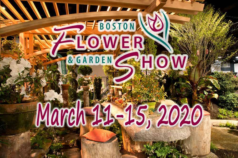 Visit PJ Pappas at the 2020 Boston Flower Show Booth #425