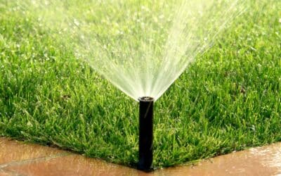 How To Design An Efficient Irrigation System For Your Garden