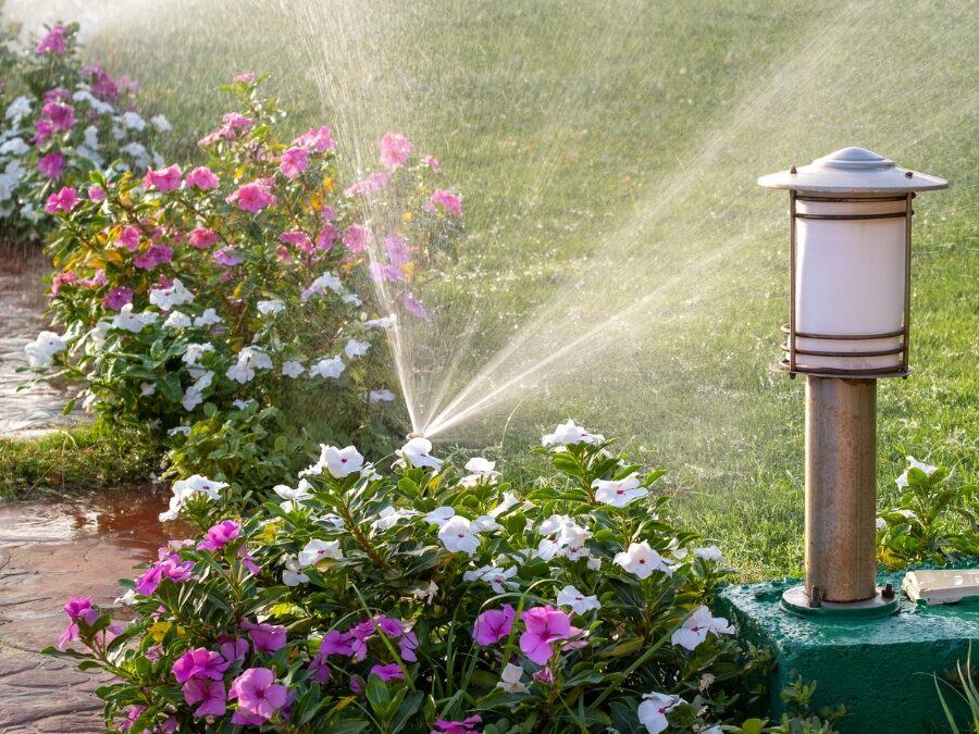 Avoid Overspraying and Overpaying for Water with These Lawn Irrigation Tips