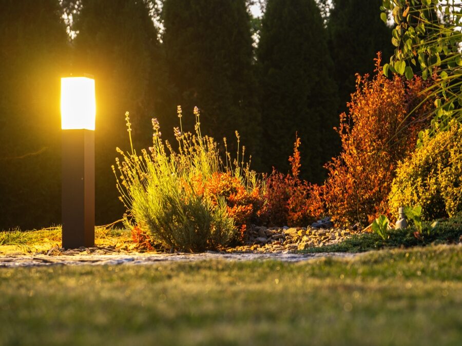 DIY vs. Professional Landscape Lighting Installation: Pros and Cons