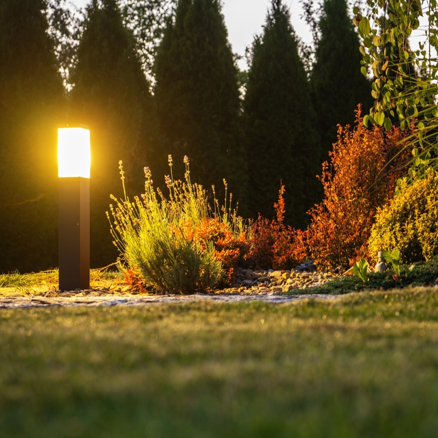 DIY vs. Professional Landscape Lighting Installation: Pros and Cons