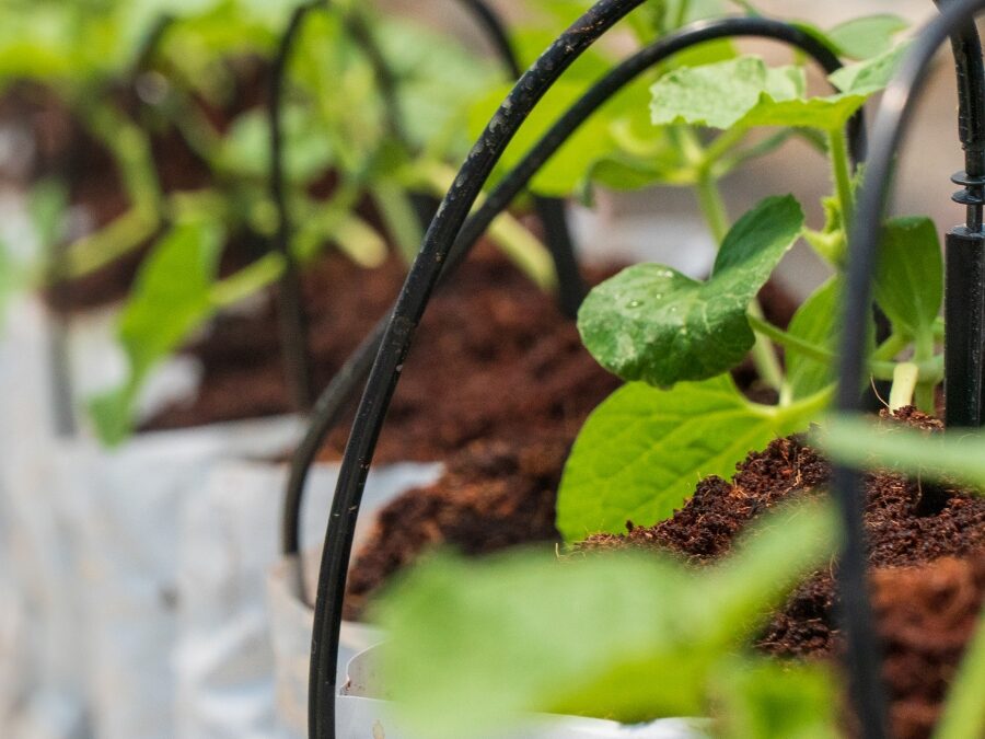 The Magic of Drip Irrigation: 5 Advantages That Enhance Your Garden