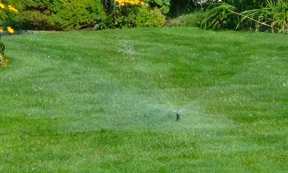 Breaking Down the Cost of Installing a Lawn Sprinkler System