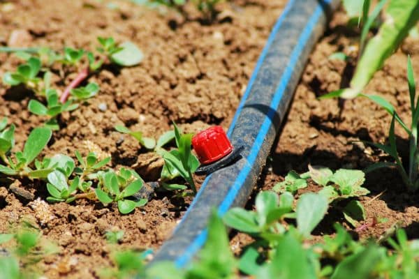 Efficient Watering: The Best Drip Irrigation Systems on the Market