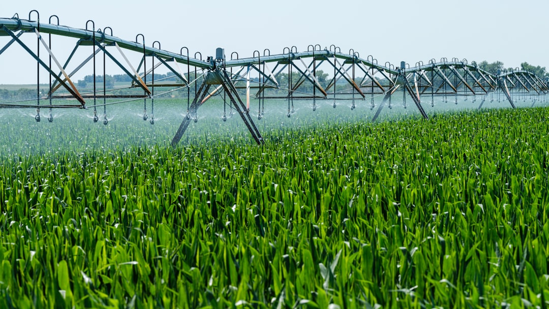Irrigation Investments: Understanding the Costs of System Installation