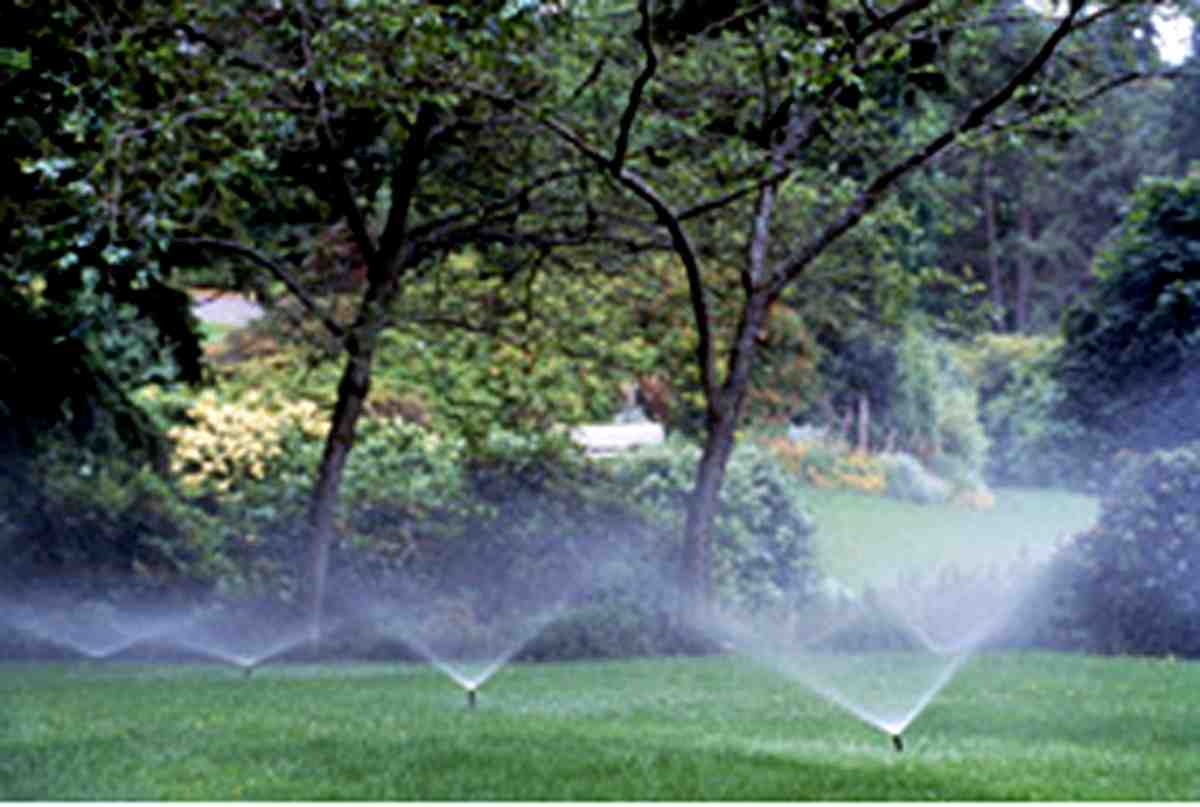 Choosing the Right Garden Sprinkler: A Buyer’s Guide