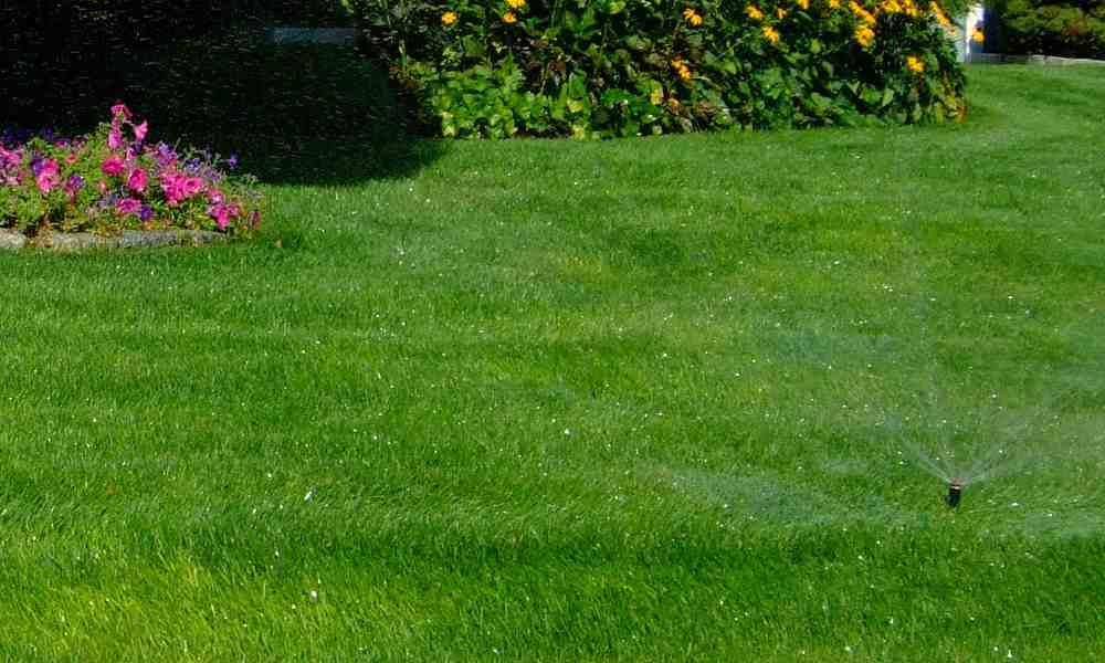 Top Tips for Hiring the Right Irrigation System Installers