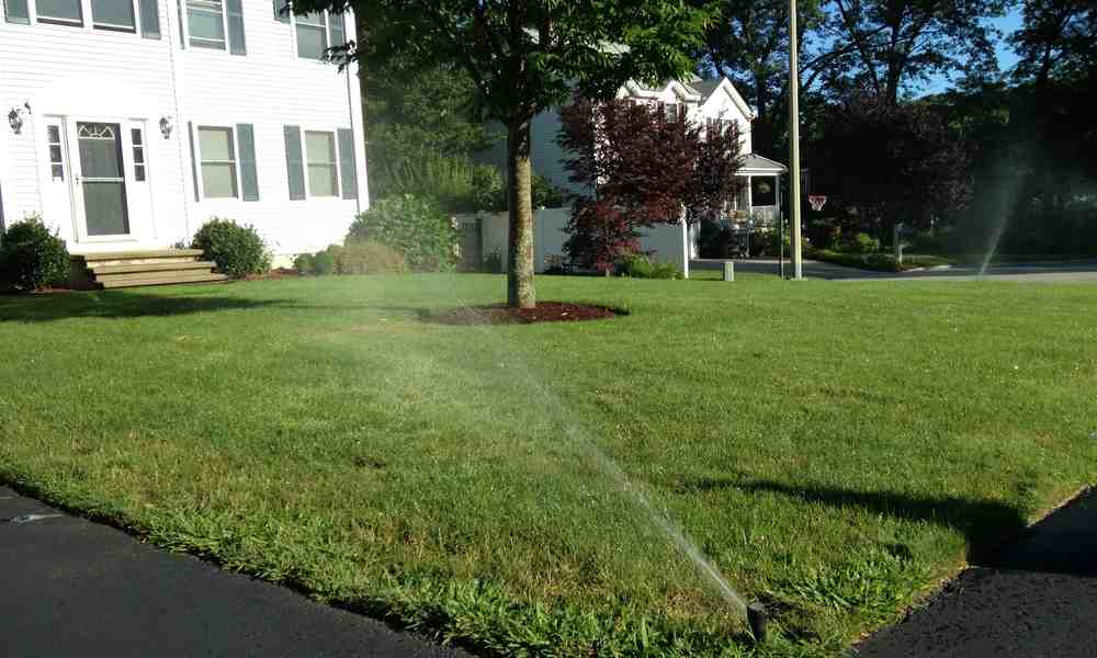 Everything You Need to Know About Installing a Lawn Sprinkler System