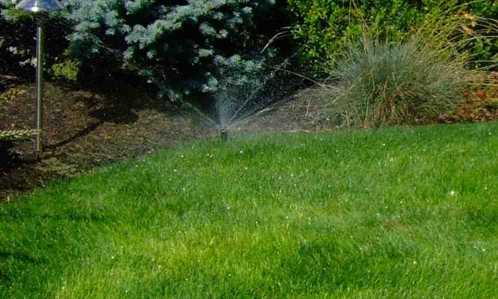 Upgrade Your Sprinkler System with These Must-Have Parts