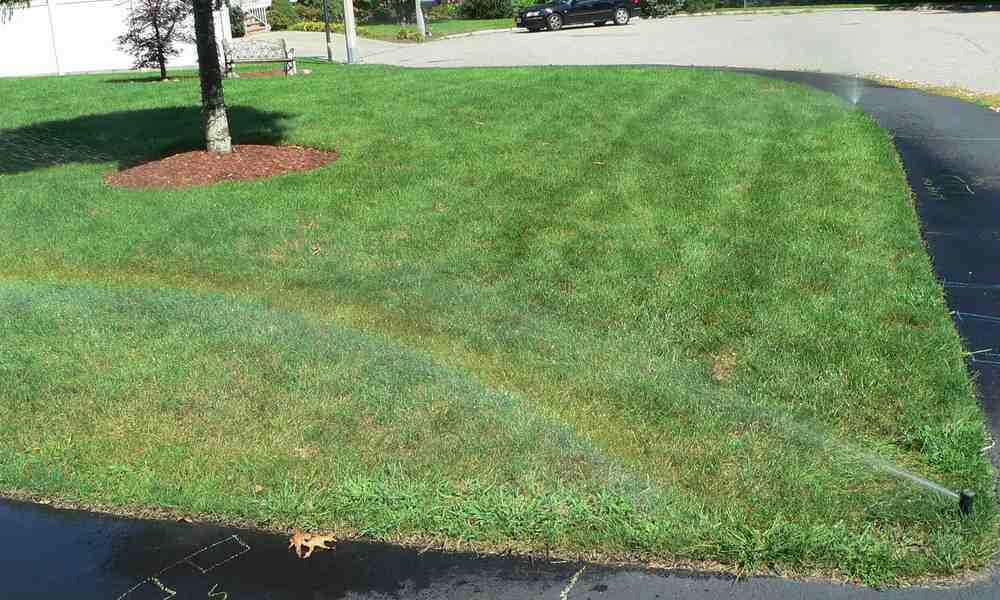 Step-by-Step Troubleshooting for Your Home Sprinkler System