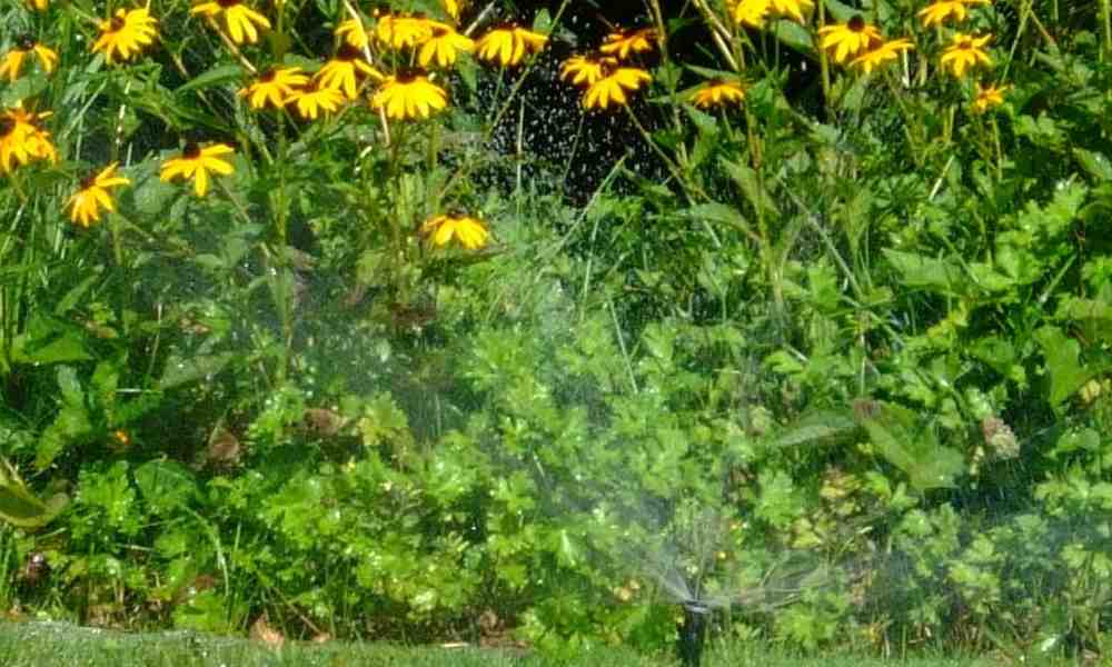 Get It Popping: How to Fix Sprinkler Heads That Won’t Rise