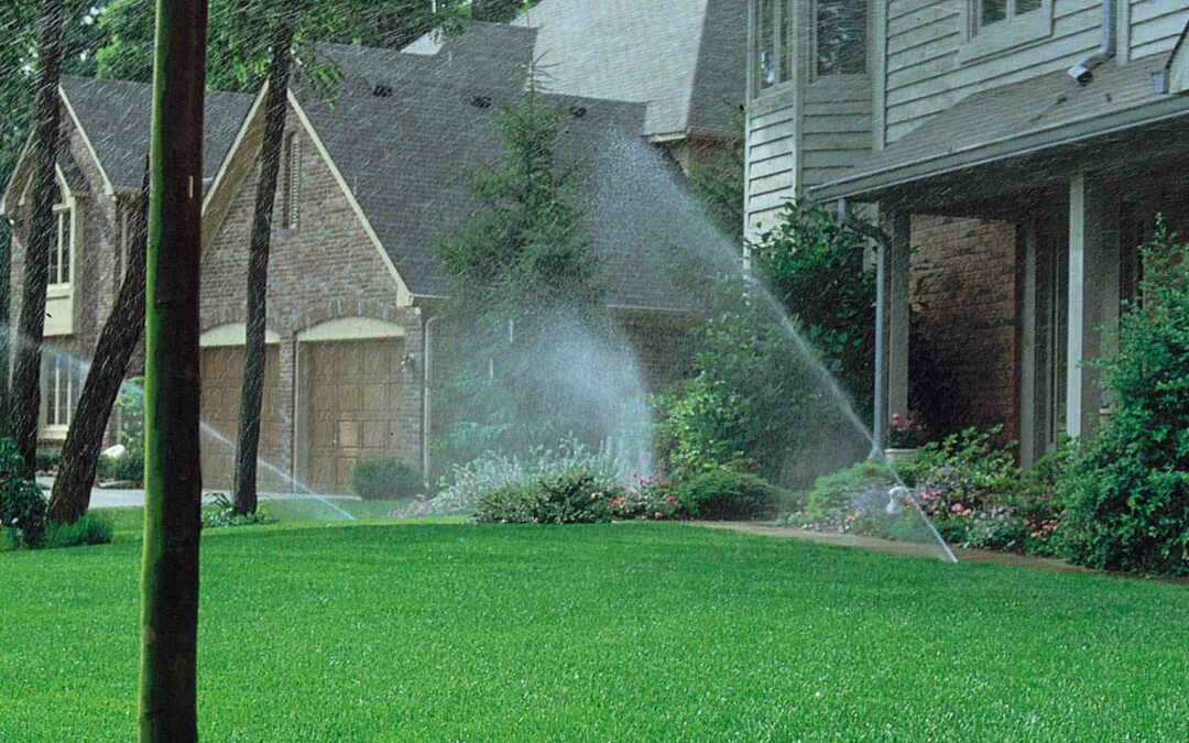 A Comprehensive Guide to Home Irrigation Systems