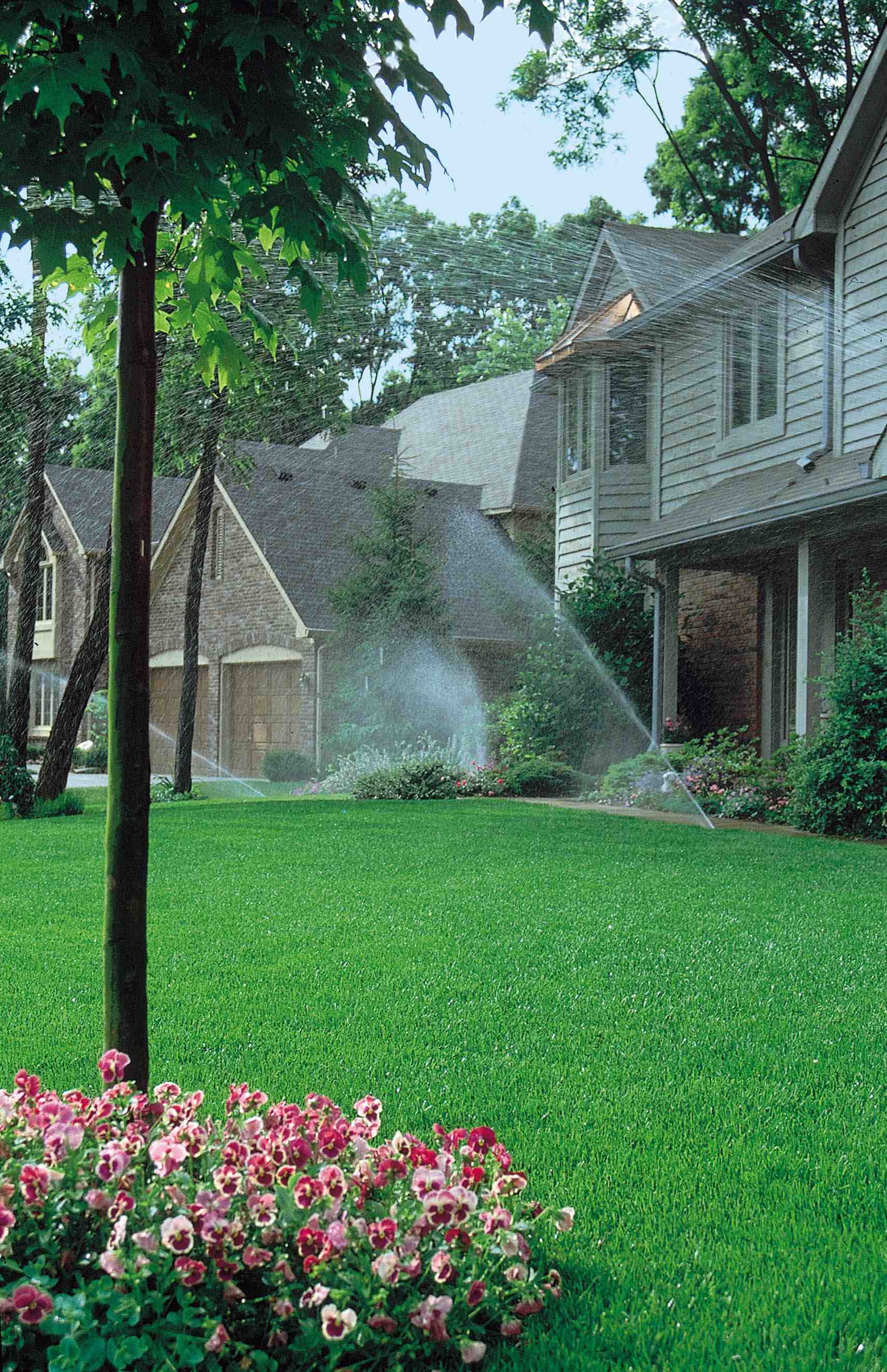 A Comprehensive Guide to Home Irrigation Systems