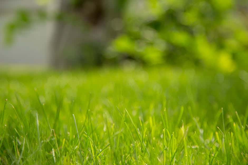 5 Reasons Why You Will Love Installing a Lawn Irrigation System