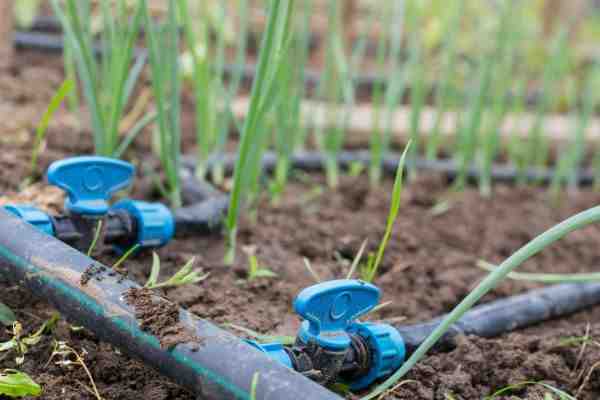 Find the Perfect Irrigation Company Near You: Top Picks and Reviews