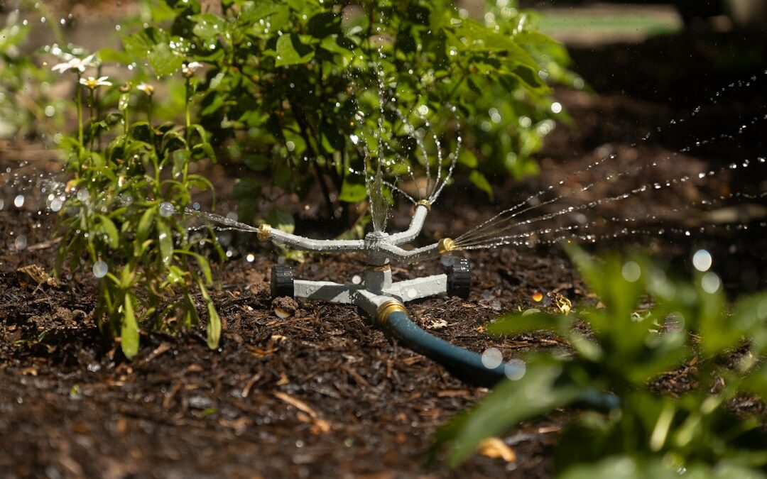 Sprinkler Systems Cost Guide: Budgeting for Your Lawn