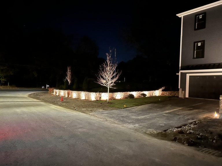 Outdoor landscape lighting installation by P.J. Pappas