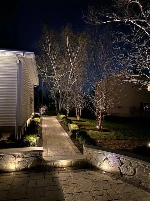 Outdoor landscape lighting installation by P.J. Pappas