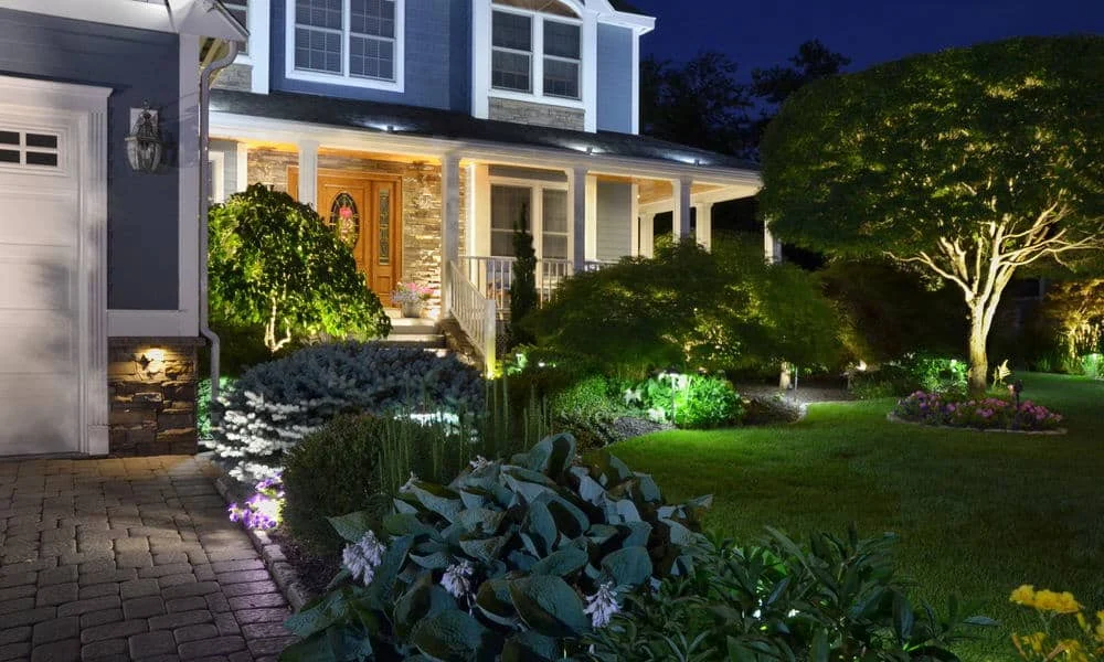 Outdoor landscape lighting installation by P.J. Pappas