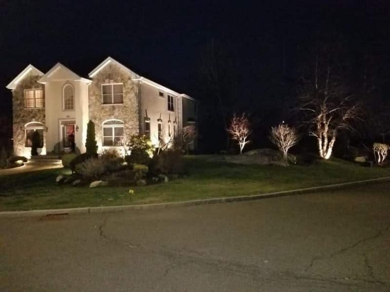 Outdoor landscape lighting installation by P.J. Pappas