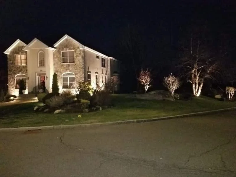 Outdoor landscape lighting installation by P.J. Pappas