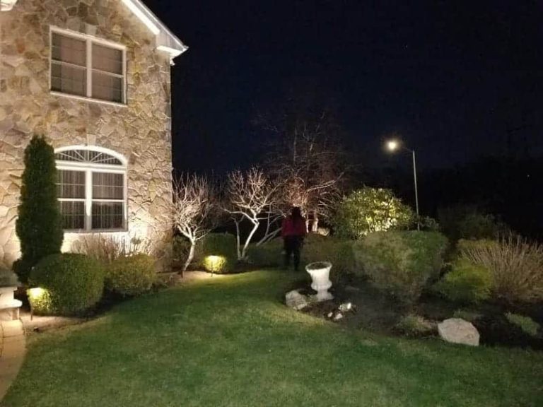 Outdoor landscape lighting installation by P.J. Pappas