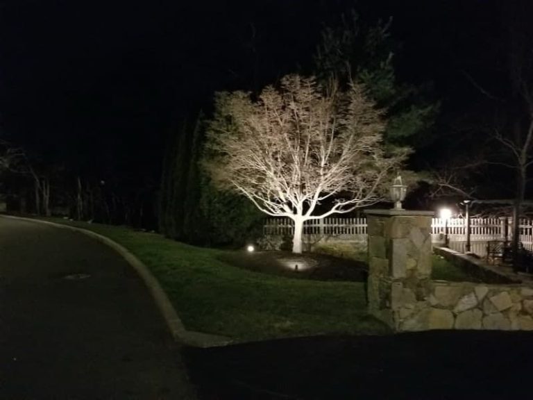 Outdoor landscape lighting installation by P.J. Pappas