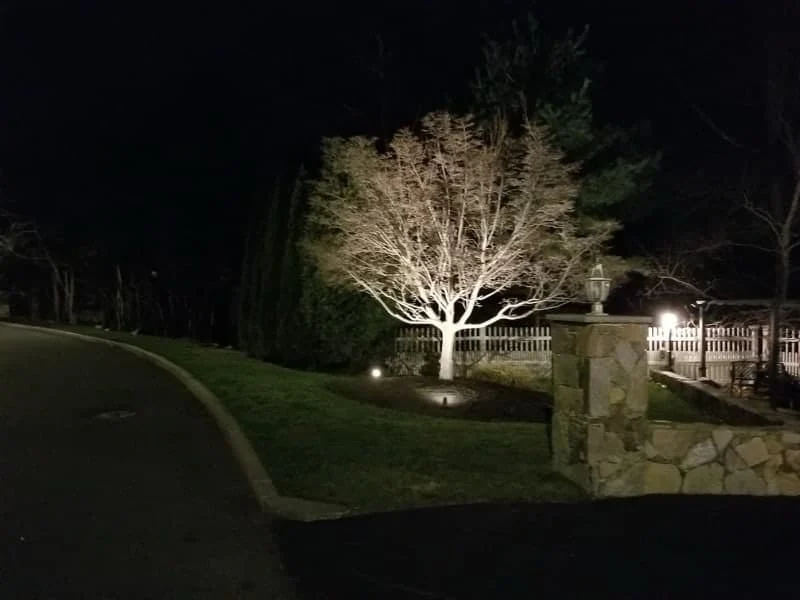 Outdoor landscape lighting installation by P.J. Pappas