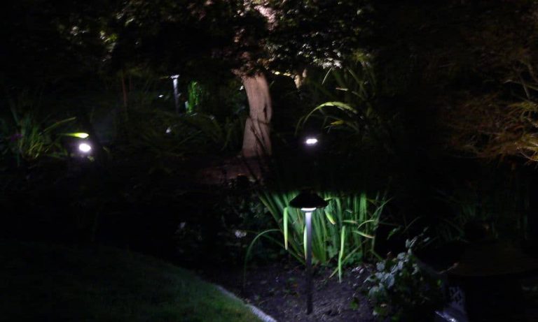 Outdoor landscape lighting installation by P.J. Pappas