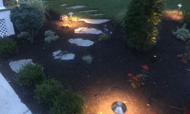 Outdoor landscape lighting installation by P.J. Pappas