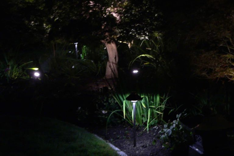 Outdoor landscape lighting installation by P.J. Pappas