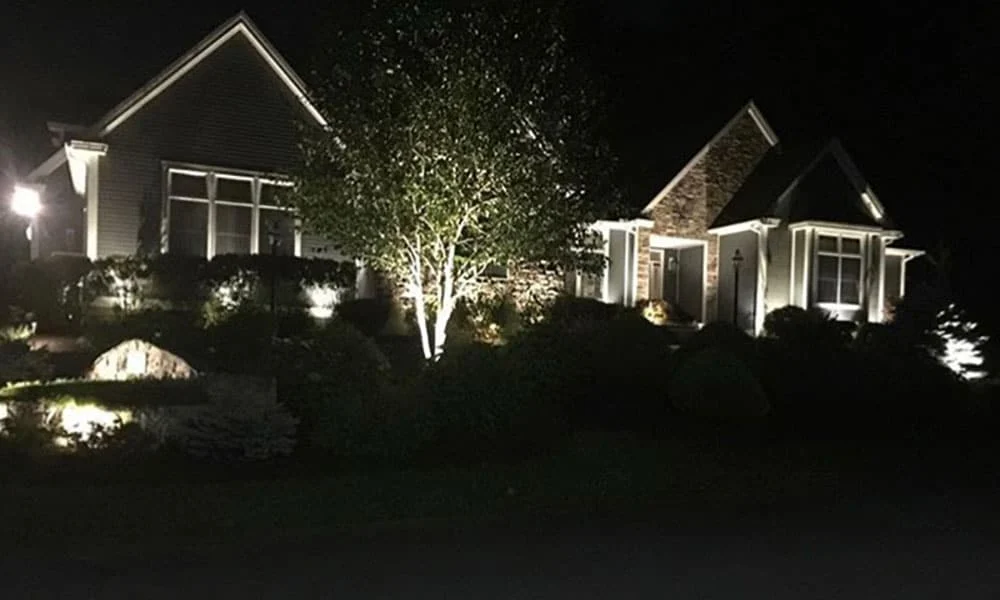 Outdoor landscape lighting installation by P.J. Pappas