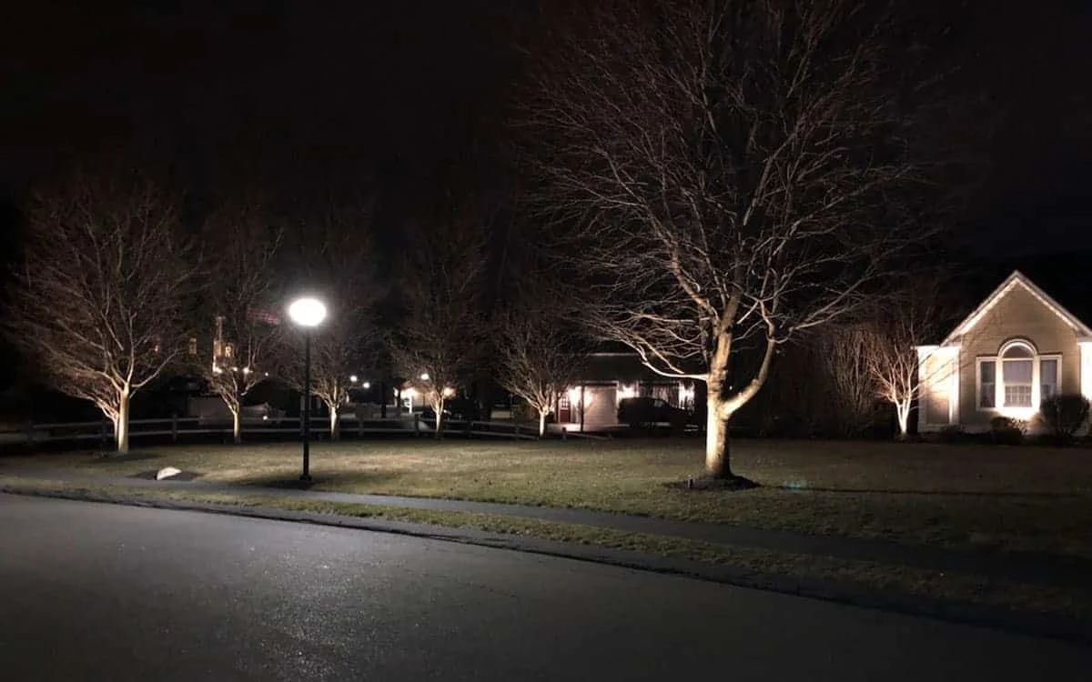 Outdoor landscape lighting installation by P.J. Pappas
