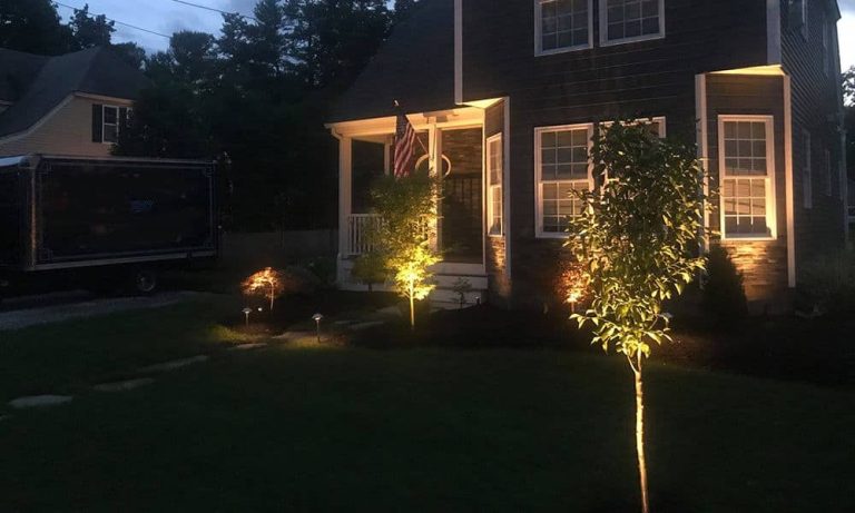 Outdoor landscape lighting installation by P.J. Pappas