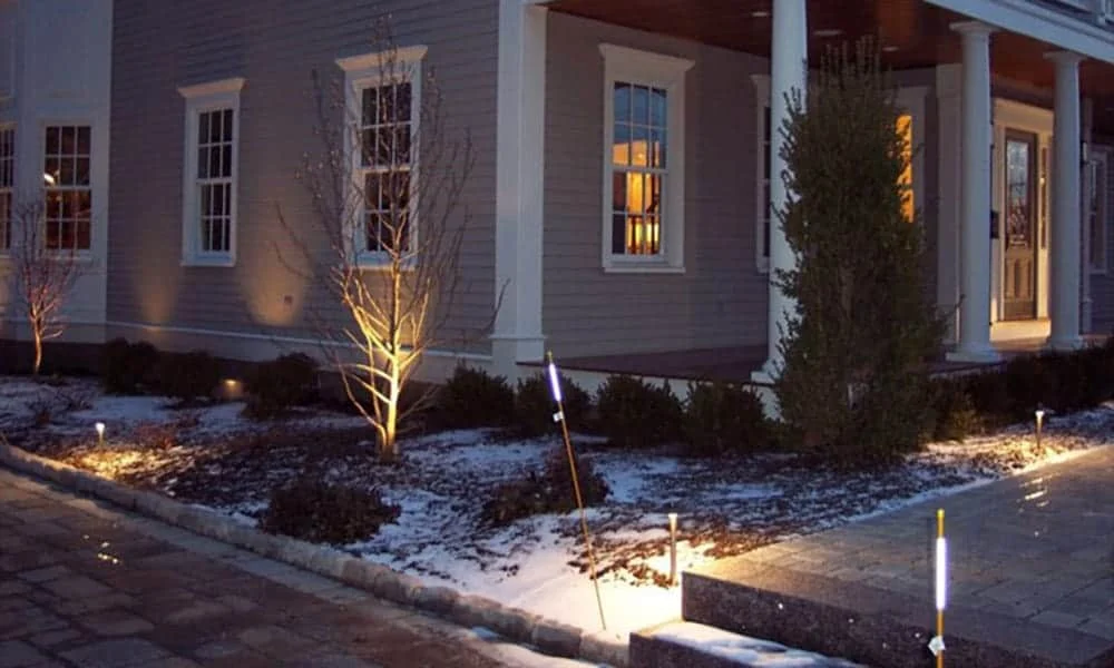Outdoor landscape lighting installation by P.J. Pappas