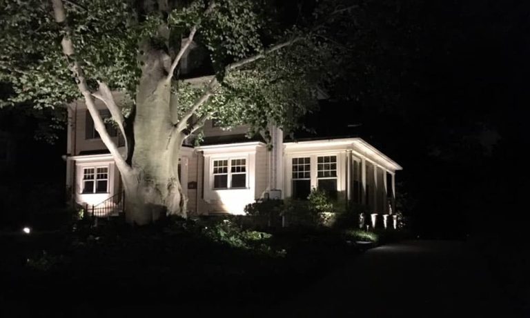 Outdoor landscape lighting installation by P.J. Pappas