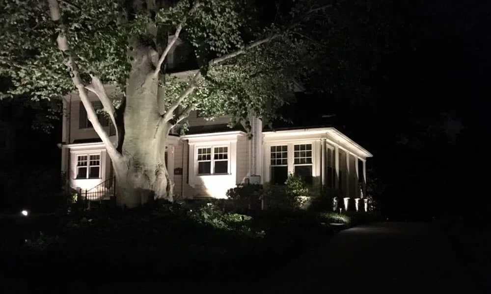 Outdoor landscape lighting installation by P.J. Pappas