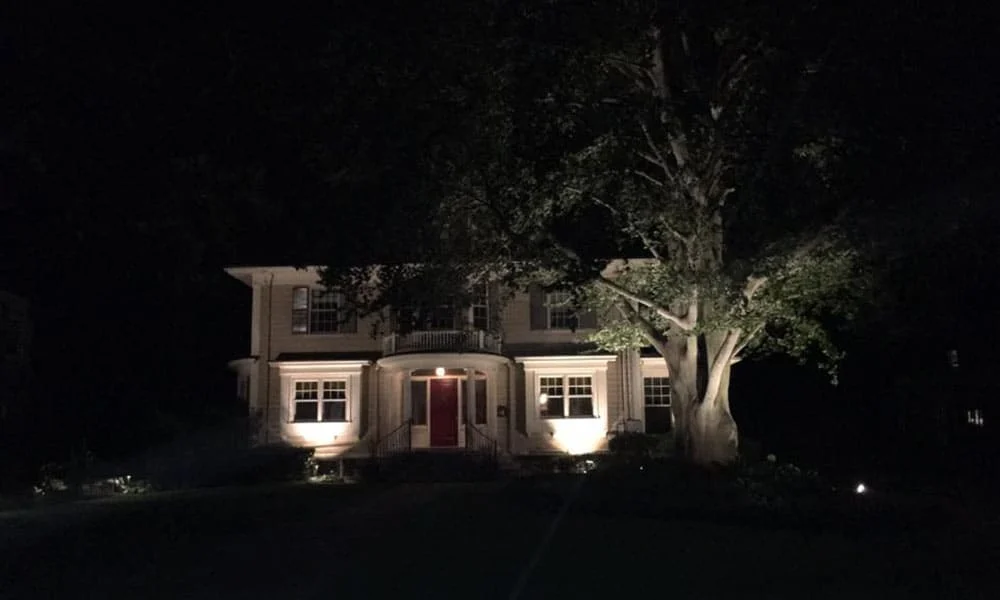 Outdoor landscape lighting installation by P.J. Pappas