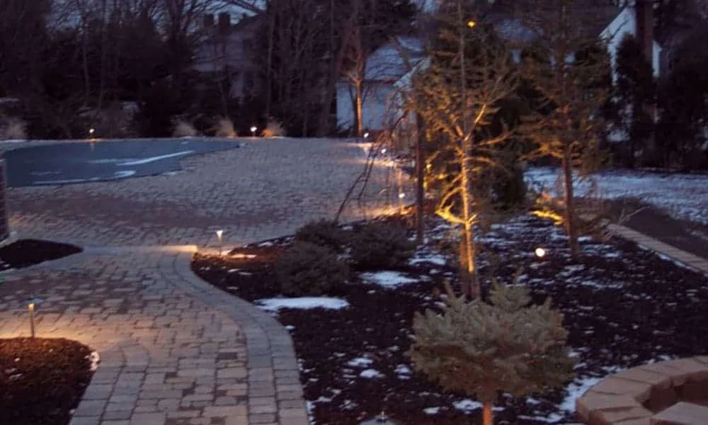 Outdoor landscape lighting installation by P.J. Pappas