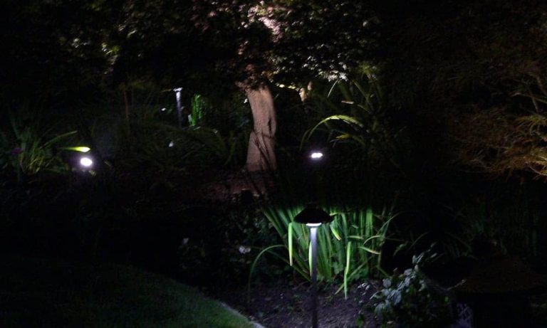 Outdoor landscape lighting installation by P.J. Pappas
