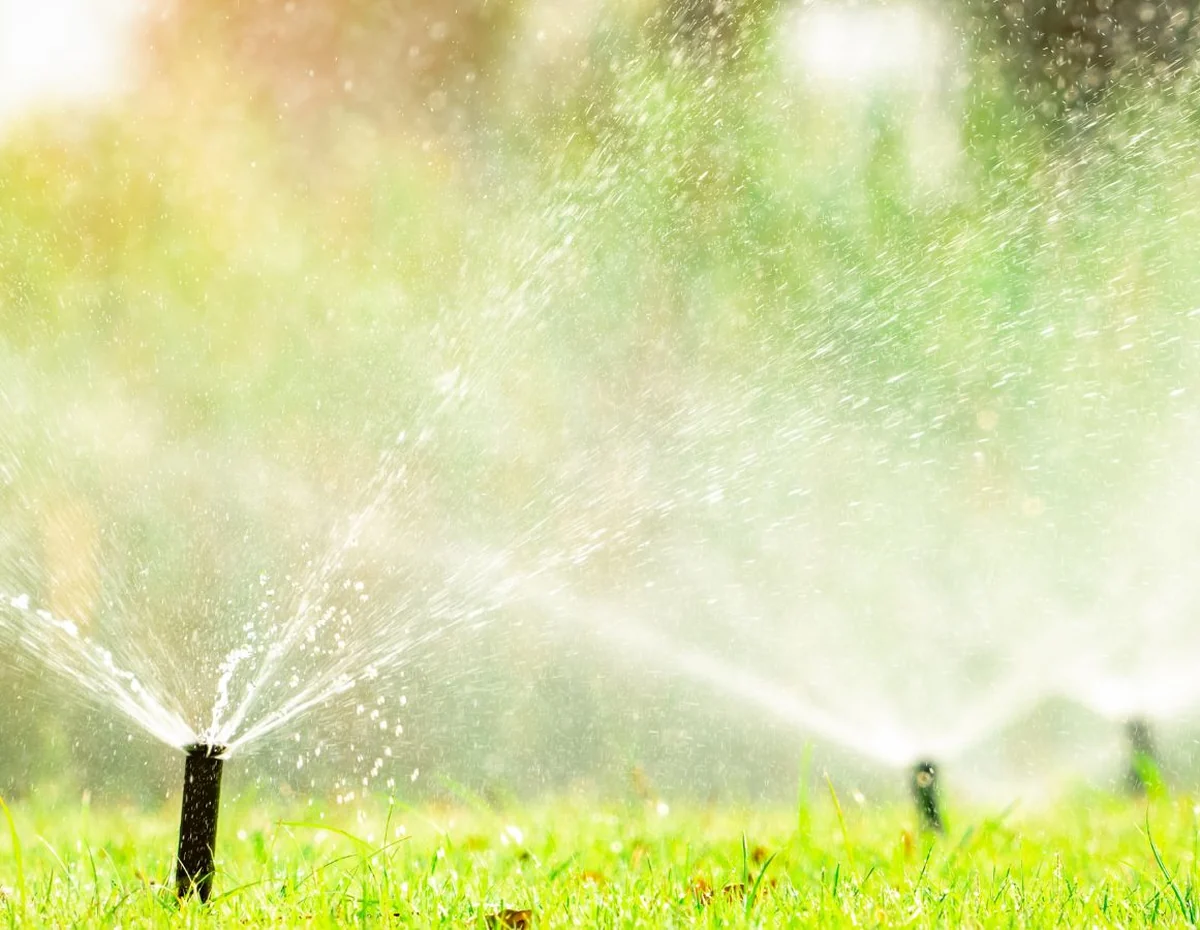 Lawn sprinkler running at the start of the season