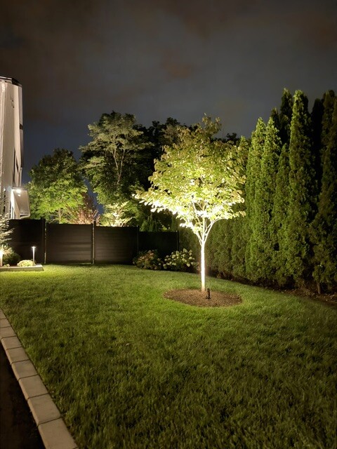 Uplighting on an ornamental tree and evergreens in a Newton, MA backyard.