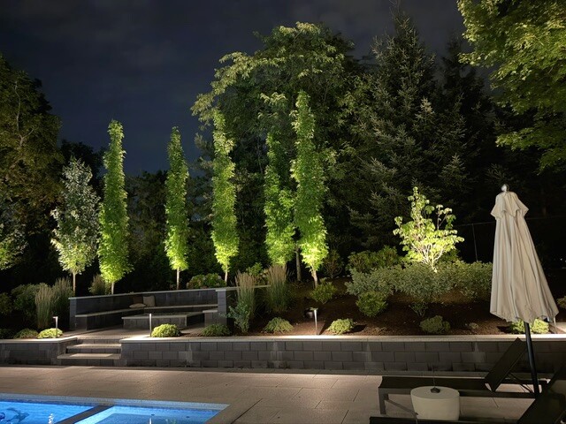 Evergreen trees illuminated beside a residential swimming pool in Newton, MA.