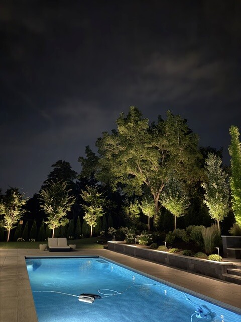 Tree uplighting reflected across a backyard swimming pool in Newton, MA.