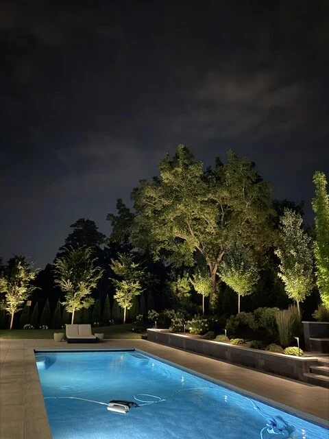 Tree uplighting reflected across a backyard swimming pool in Newton, MA.