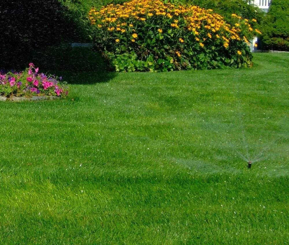 In-ground lawn irrigation system installed by P.J. Pappas