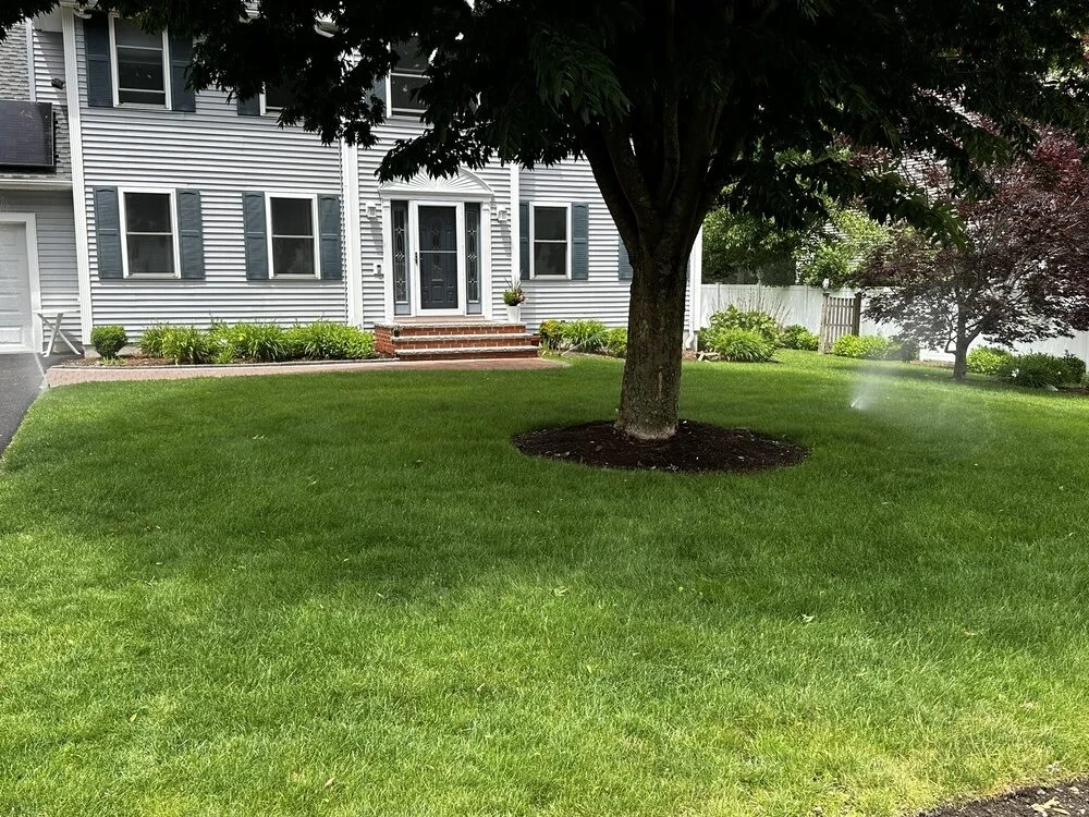 In-ground lawn irrigation system installed by P.J. Pappas