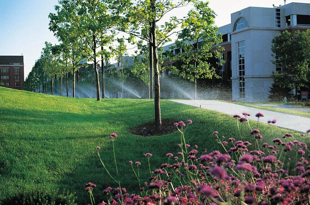 In-ground lawn irrigation system installed by P.J. Pappas